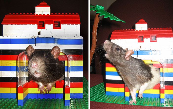 Lego kockice u nešto drugačijoj funkciji