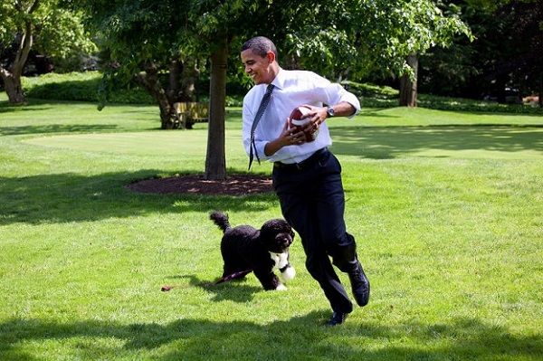 800px-Barack_Obama_runs_away_from_the_family_dog_2009-05-12-624x415.jpg