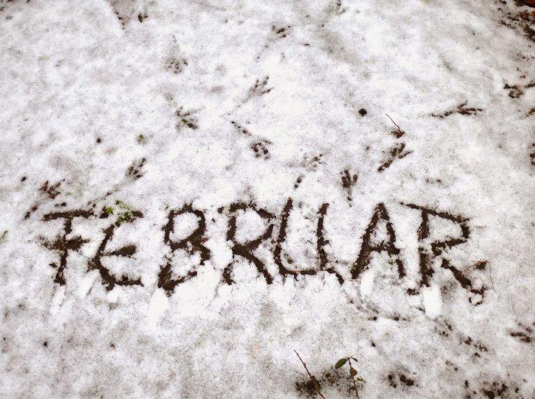 Kratak kao februar
