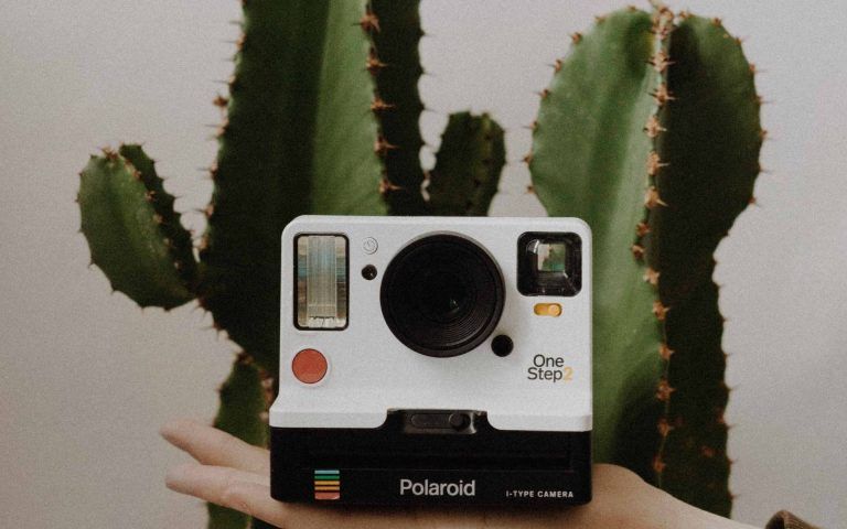 Budite mudriji od algoritma 10 Instagram saveta Vajb