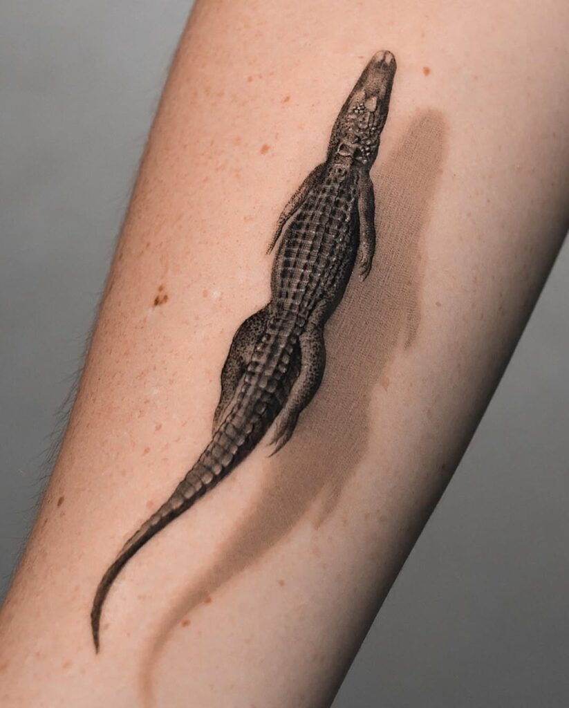 tatu panda