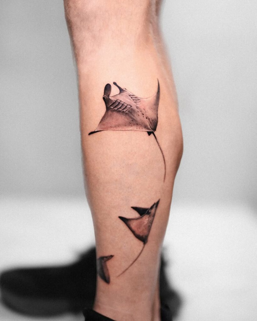 tatu panda